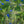 Chargez l\'image dans la visionneuse de galerie, Greenly Blue - fotokunst.berlin - Kunstfoto Galerie