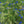 Chargez l\'image dans la visionneuse de galerie, Greenly Blue Square - fotokunst.berlin - Kunstfoto Galerie
