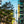 Chargez l\'image dans la visionneuse de galerie, Mitte III - fotokunst.berlin - Kunstfoto Galerie