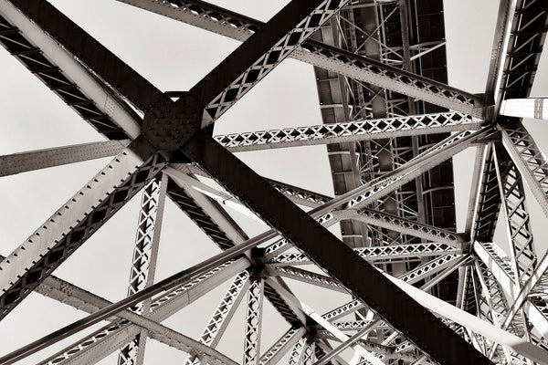 Cobweb  - fotokunst.berlin - Kunstfoto Galerie