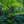 Chargez l\'image dans la visionneuse de galerie, The One - fotokunst.berlin - Kunstfoto Galerie