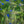 Chargez l\'image dans la visionneuse de galerie, Greenly Blue - fotokunst.berlin - Kunstfoto Galerie