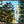 Chargez l\'image dans la visionneuse de galerie, Mitte III - fotokunst.berlin - Kunstfoto Galerie