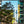 Chargez l\'image dans la visionneuse de galerie, Mitte III - fotokunst.berlin - Kunstfoto Galerie