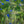 Chargez l\'image dans la visionneuse de galerie, Greenly Blue - fotokunst.berlin - Kunstfoto Galerie