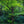 Chargez l\'image dans la visionneuse de galerie, The One - fotokunst.berlin - Kunstfoto Galerie