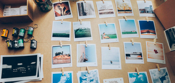 Studio Palmeri - Alexander-Palm.Photography