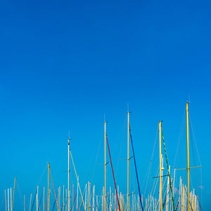 Ocean Wood  - fotokunst.berlin - Kunstfoto Galerie
